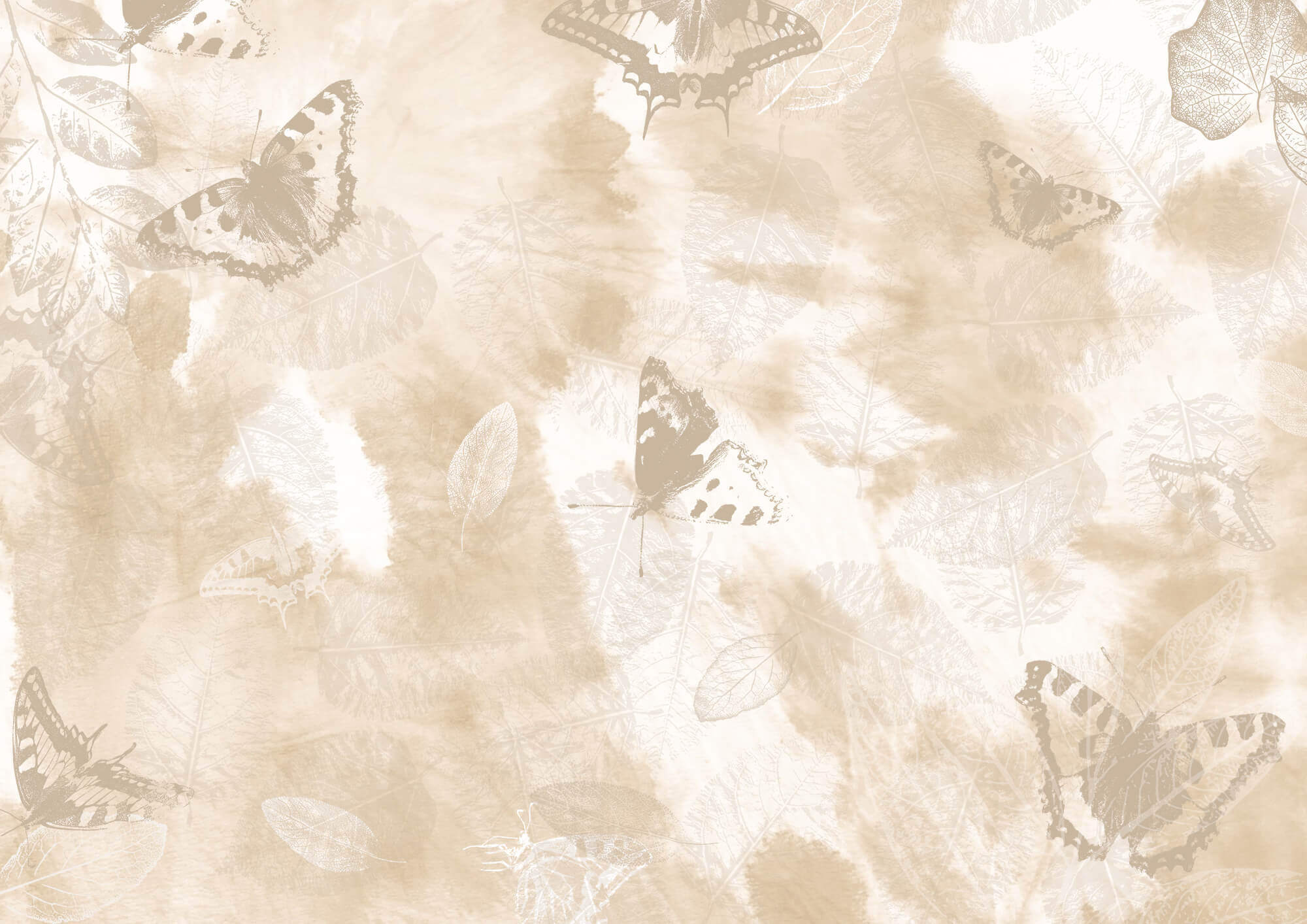 Delicate butterflies on soft background