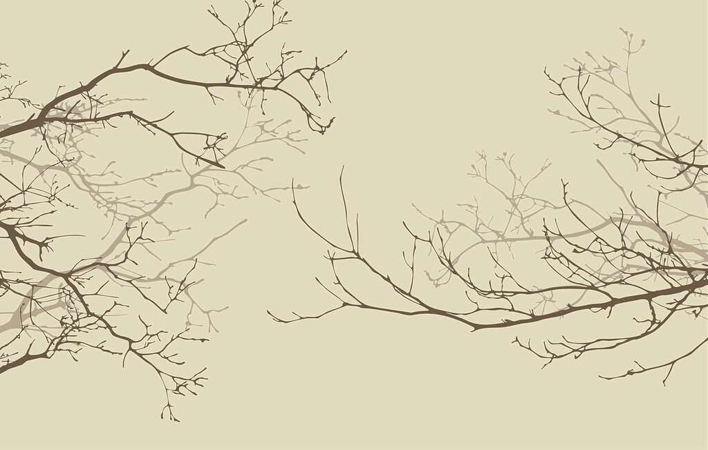 Group of bare branches