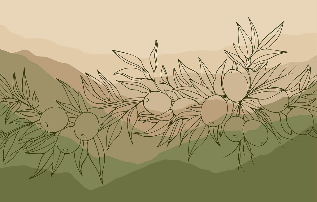 Drawing of fruit on a branch