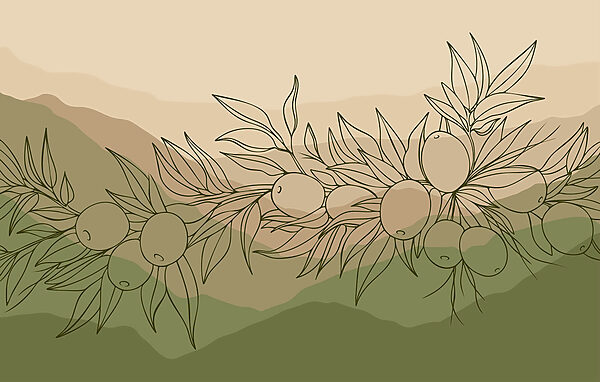 Drawing of fruit on a branch