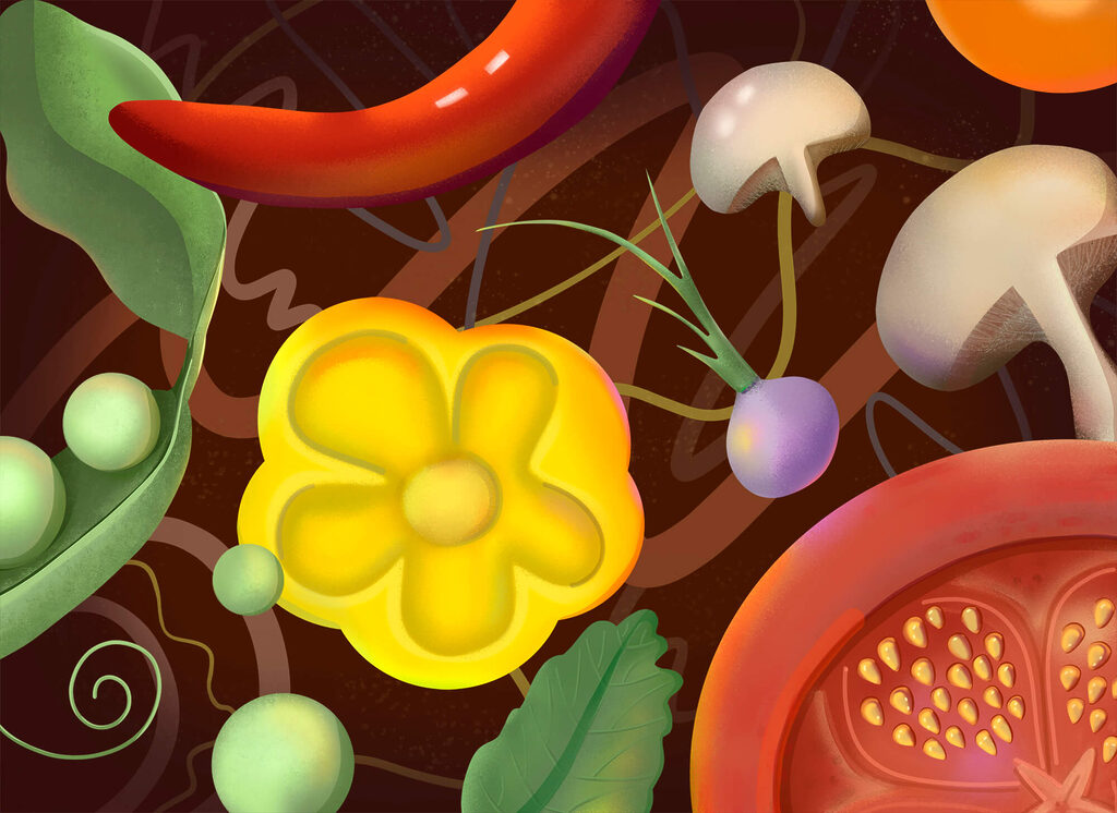 Vibrant arrangement of fresh vegetables