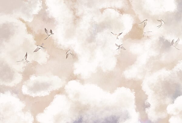 Group of birds flying in the sky