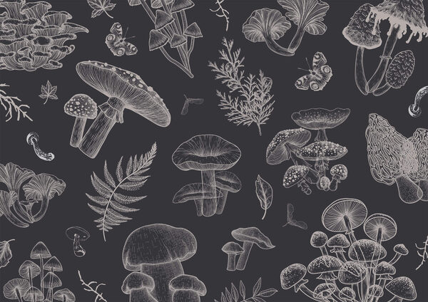 Pattern of mushrooms and leaves