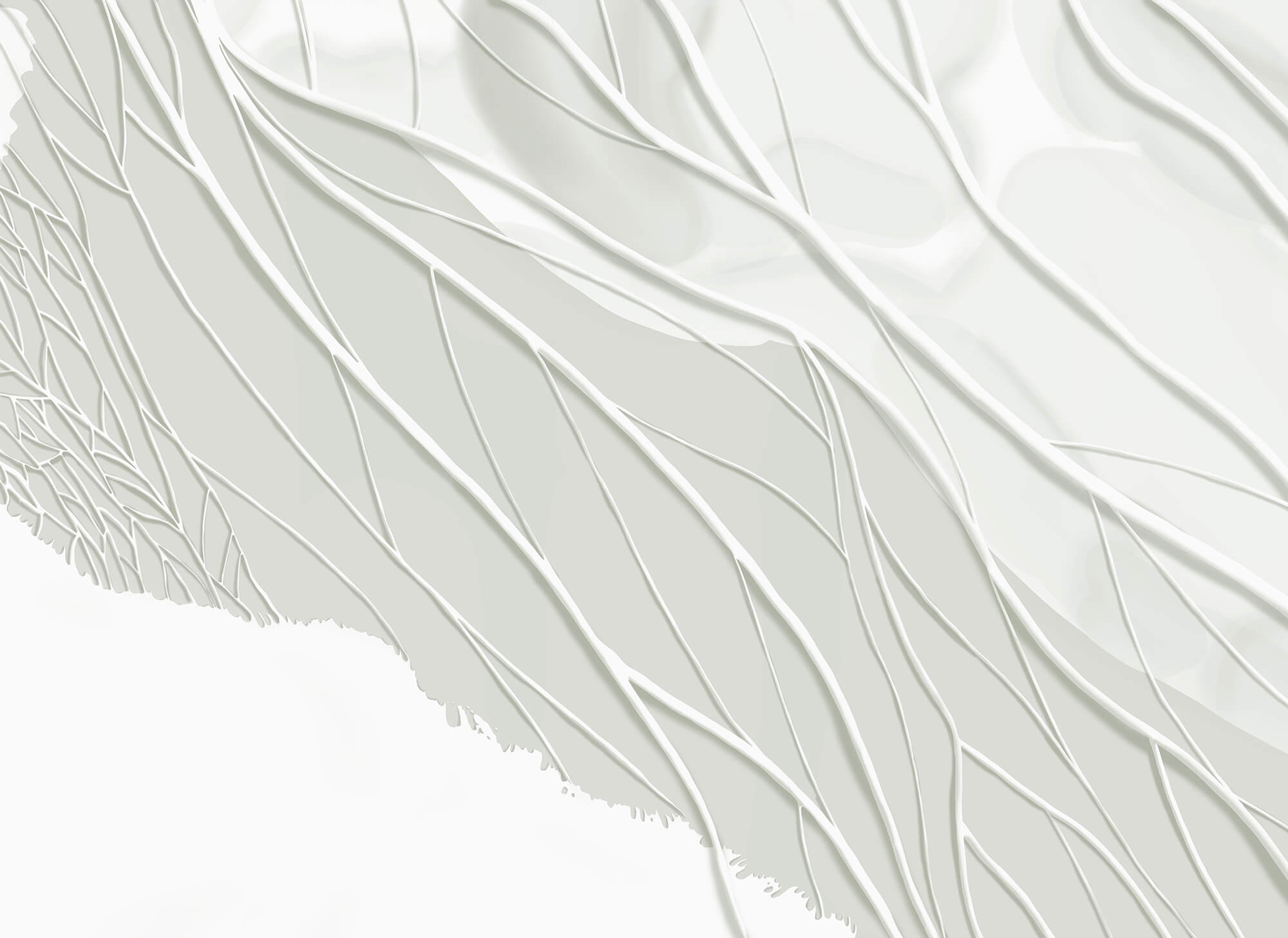 White background with lines