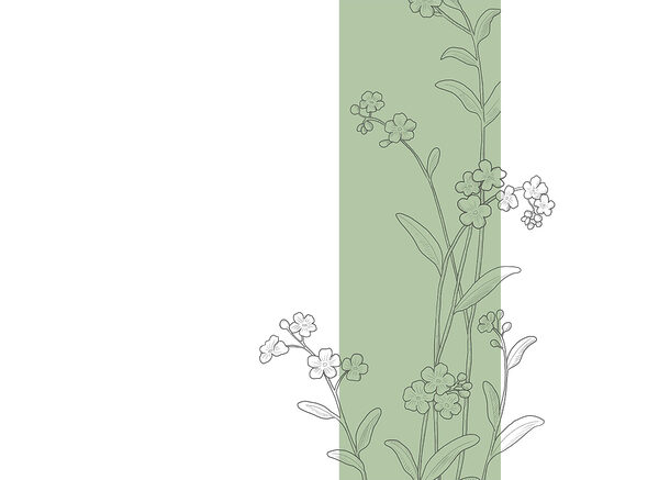 Drawing of flowers and leaves