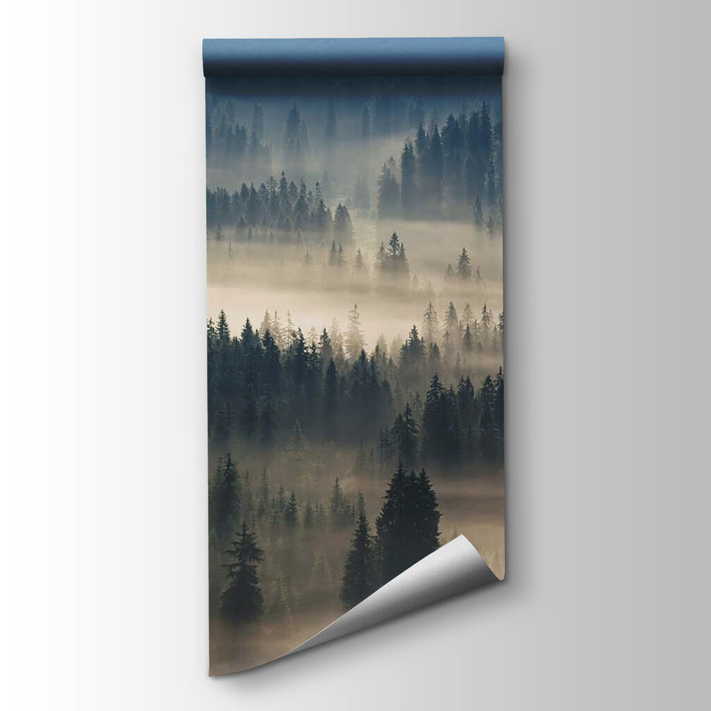 Foggy forest with trees