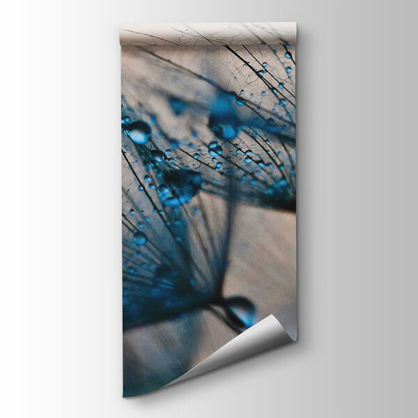 Delicate droplets on fragile petals