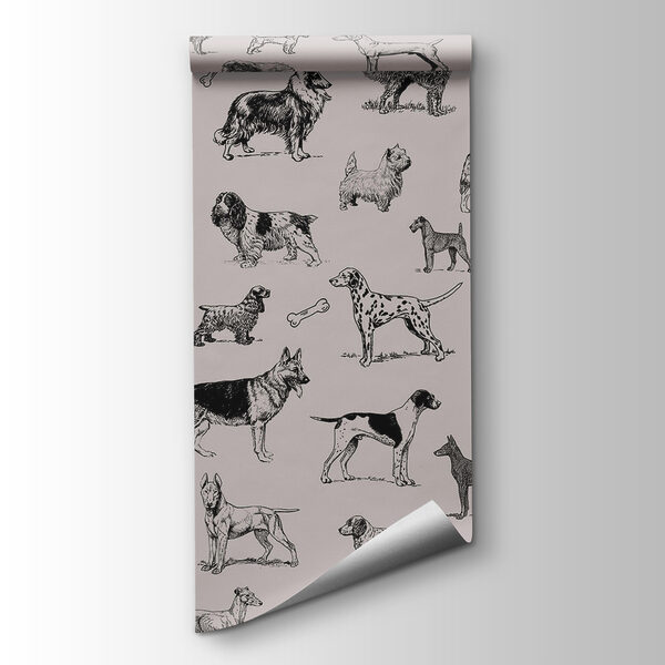 Group of dogs in different poses