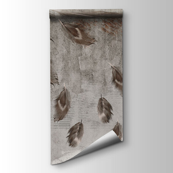 Group of feathers on a wall