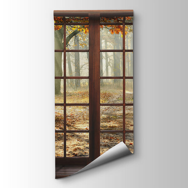 Window with trees and a path through it Window with trees and a path through it