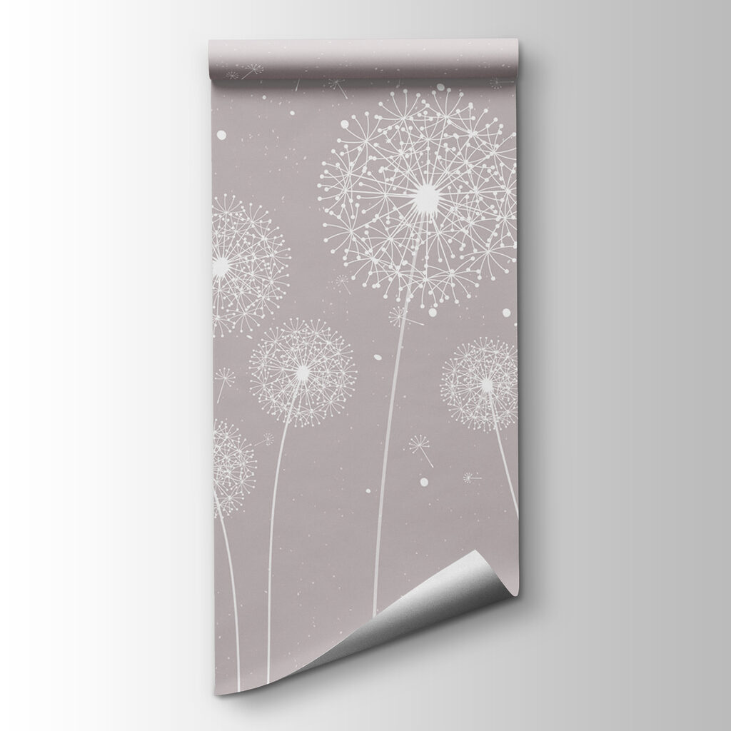 A white dandelions on a grey background