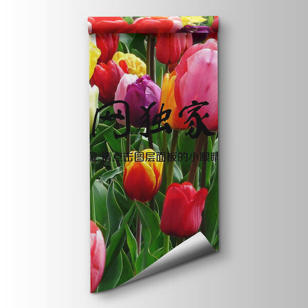 Group of colorful tulips