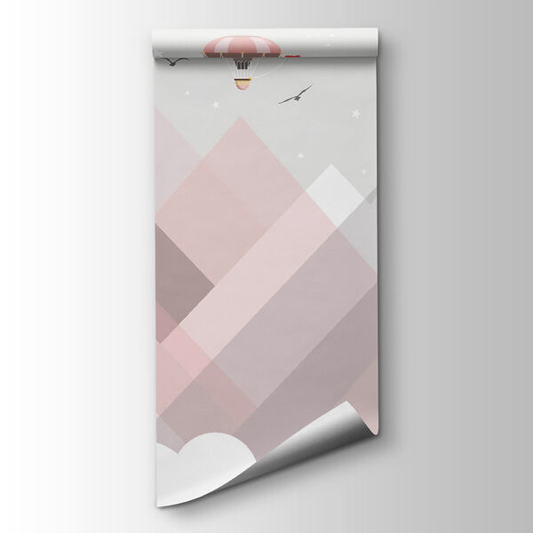 Hot air balloons over mountains