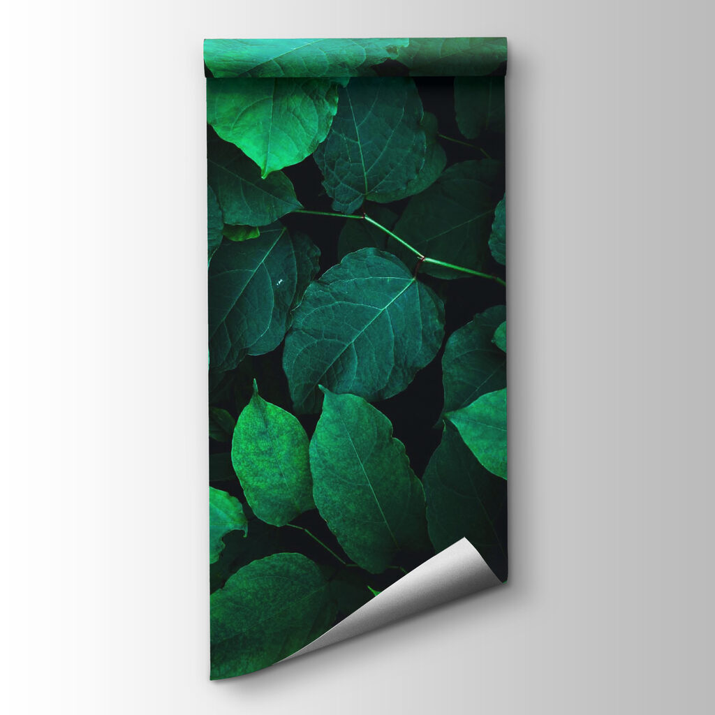 Group of green leaves