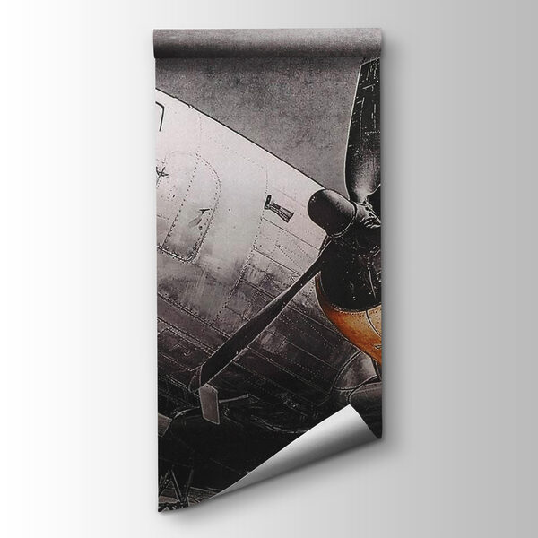 Plane with propellers