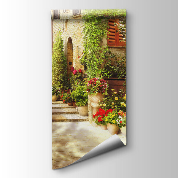 Stone building with a door and a doorway with plants in pots