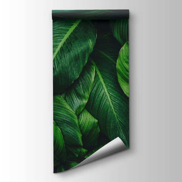 Group of green leaves