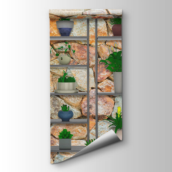 Group of plants on shelves