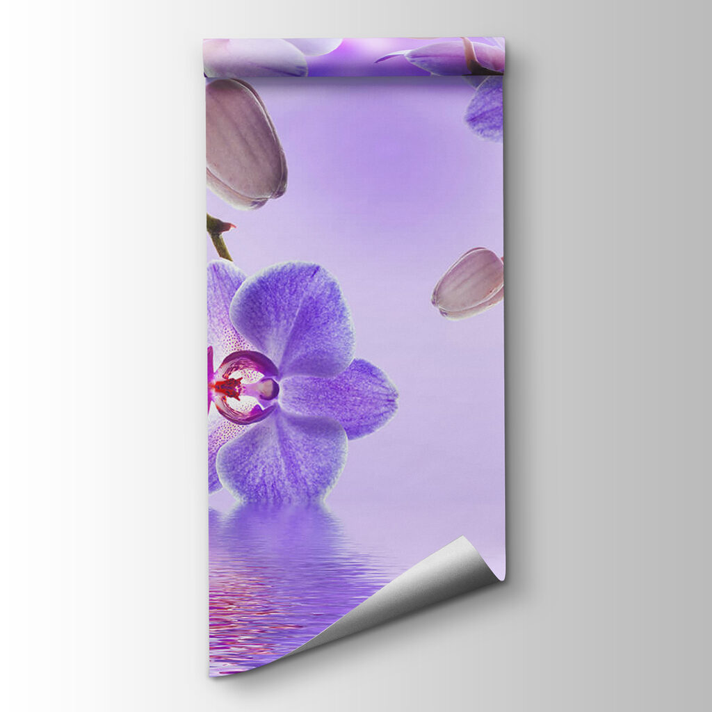 Two swans in a lake with purple flowers
