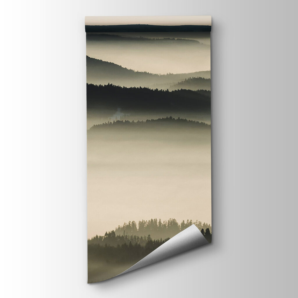 Landscape of mountains with fog