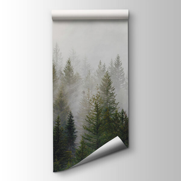 Group of trees in the fog