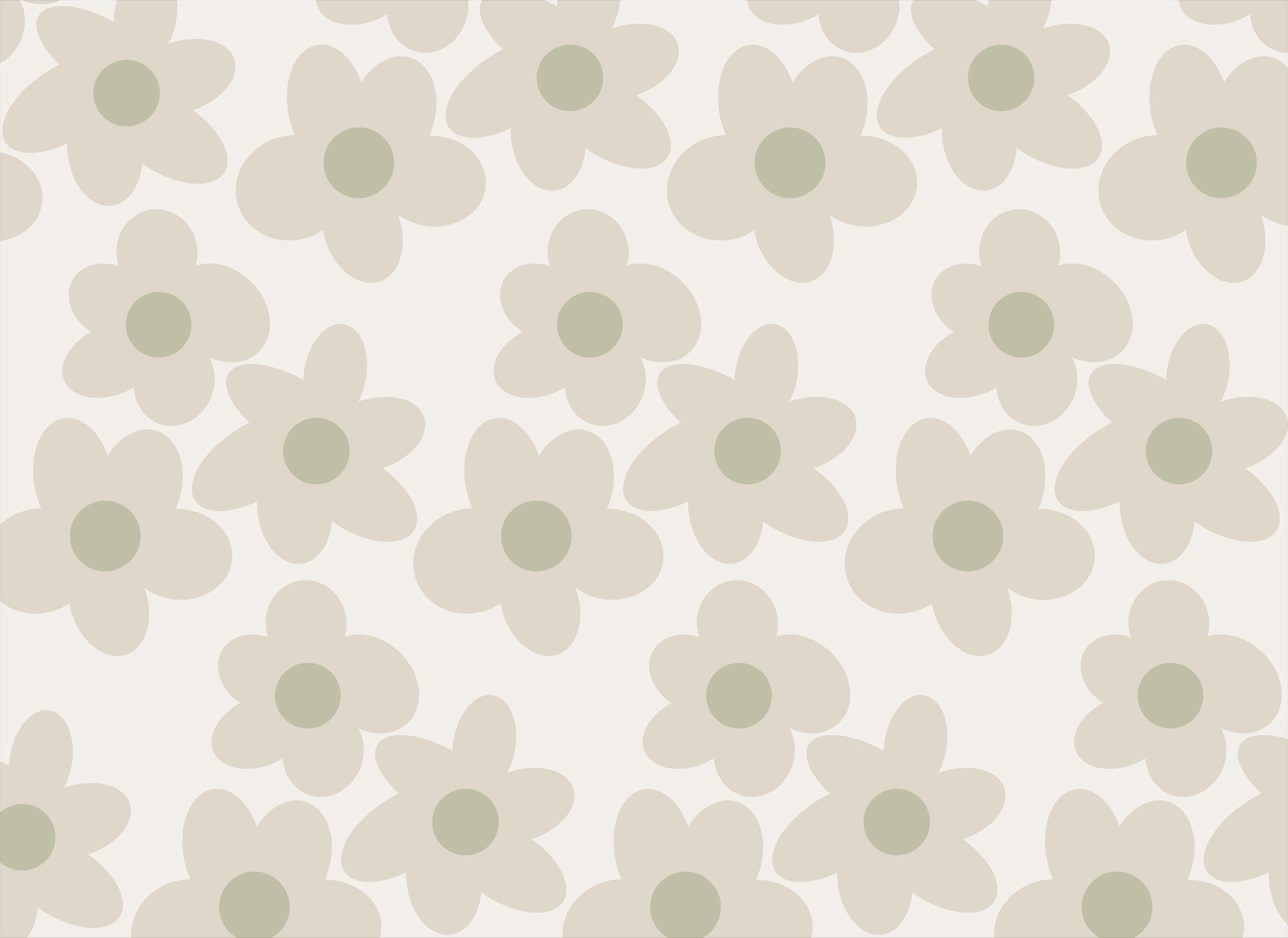 Pattern of flowers on a white background