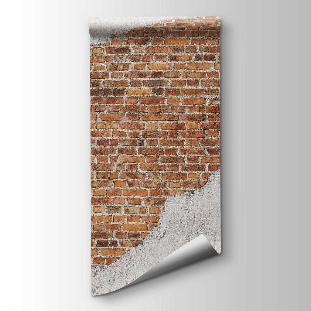 Brick wall with a white layer