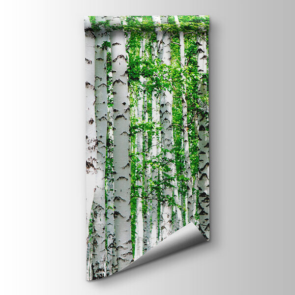 Group of trees with green leaves