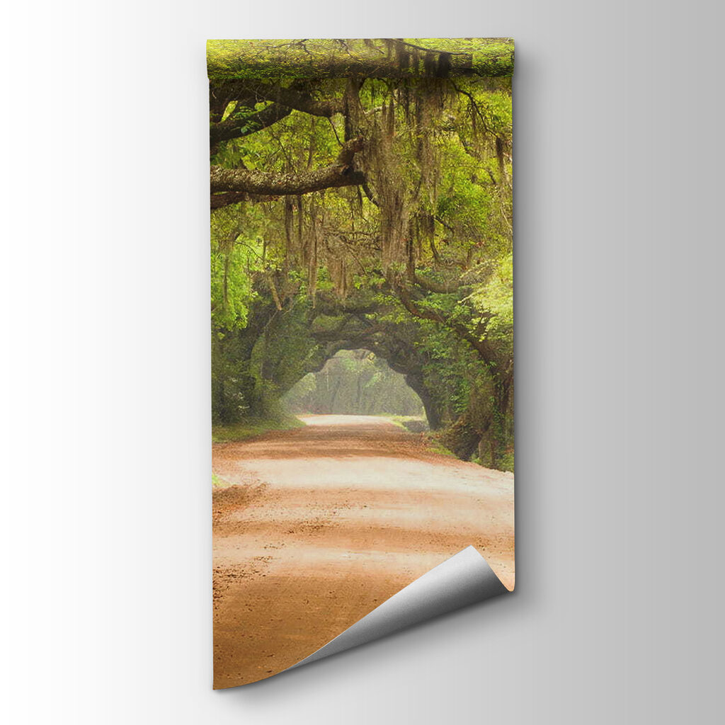 Dirt road with trees and mossy branches