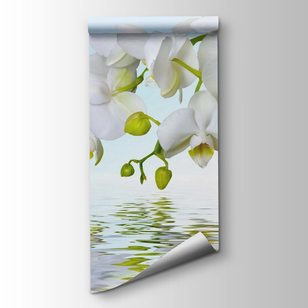 White orchids over water