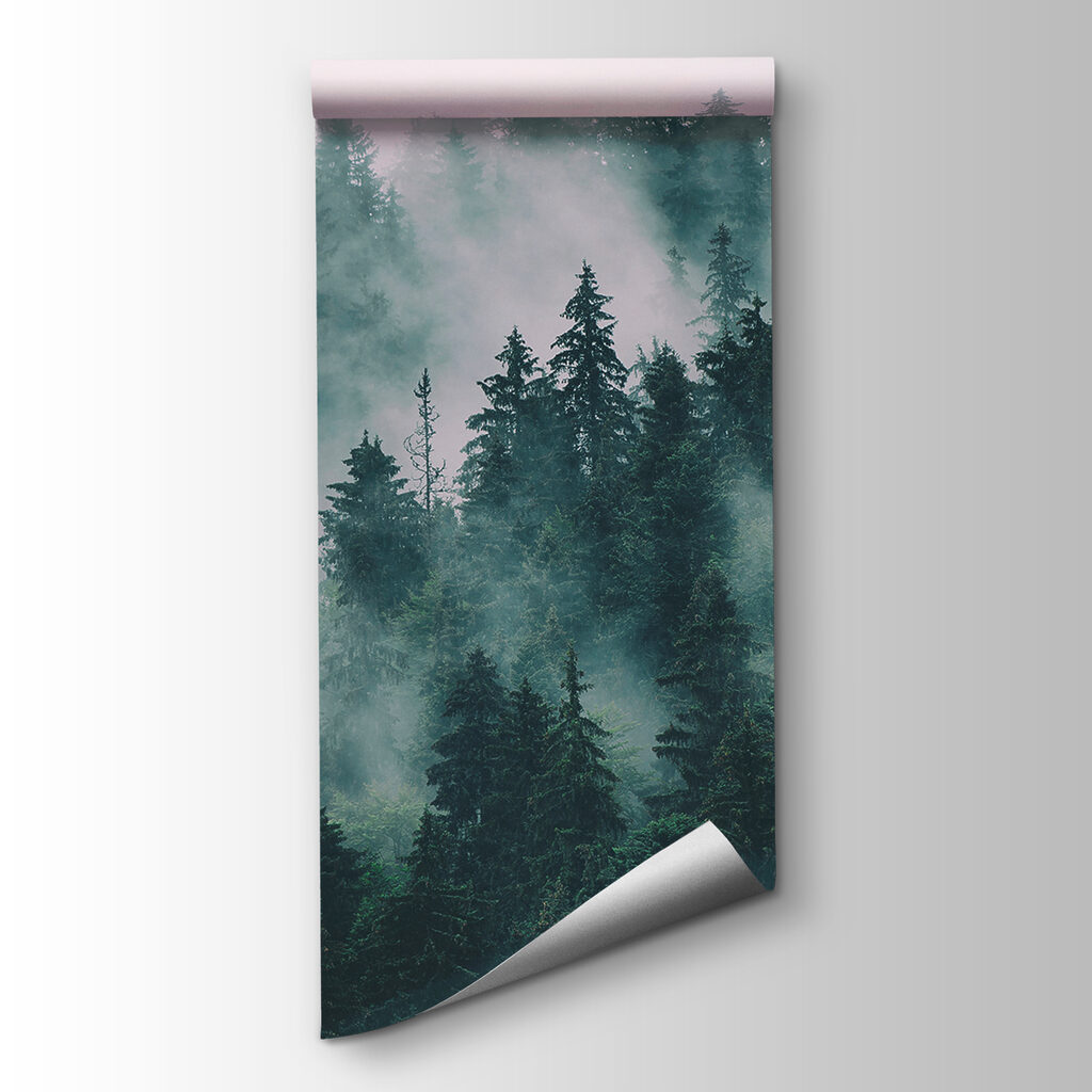 Foggy forest with trees