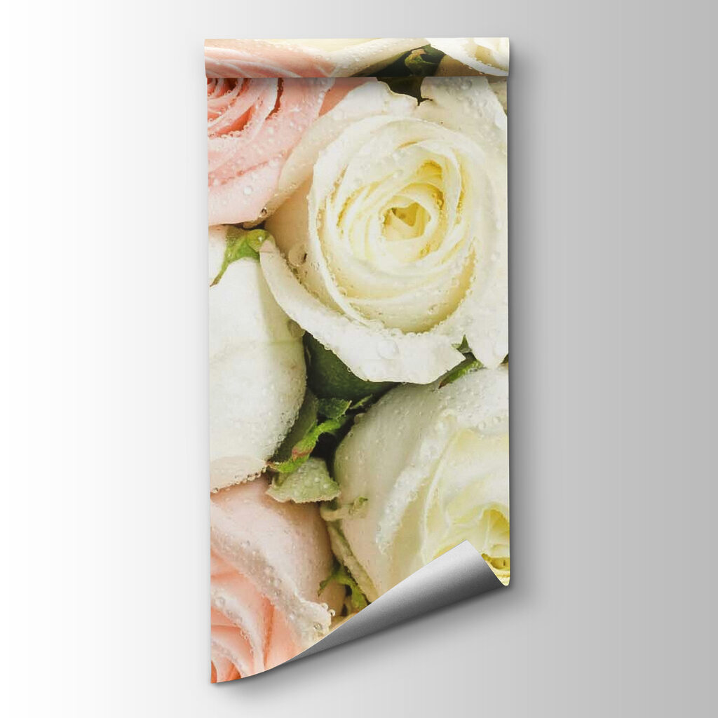 Group of pink and white roses