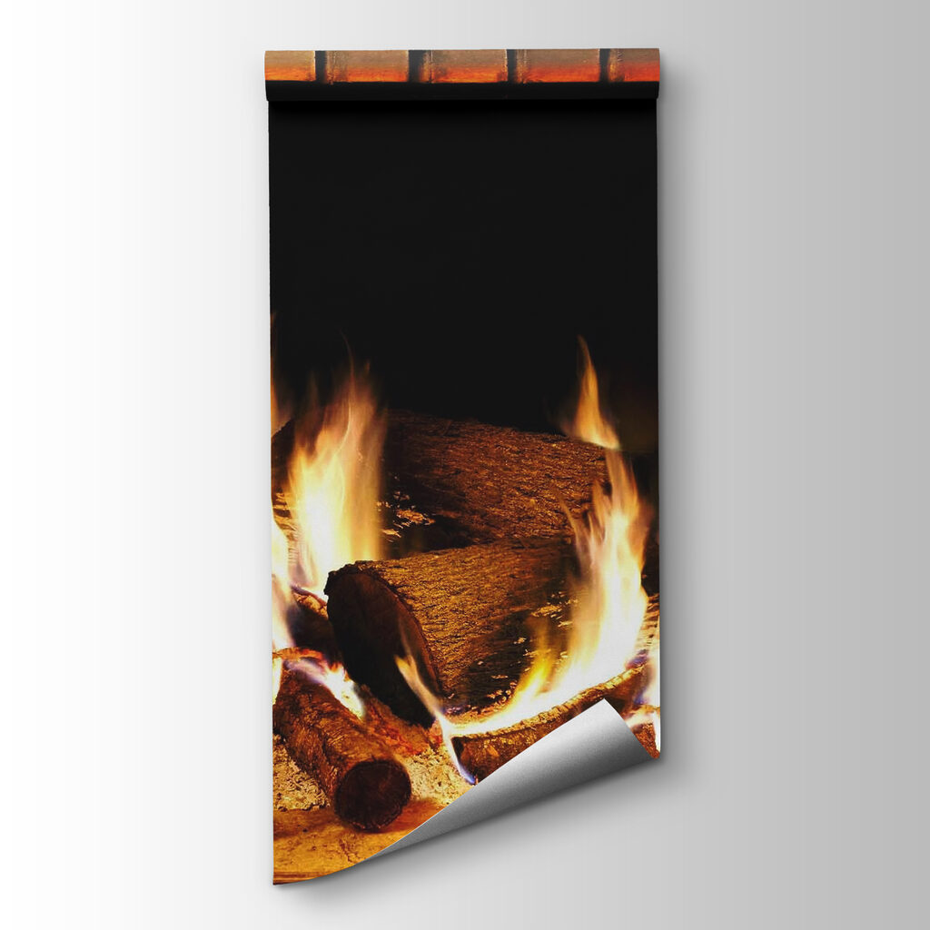 Fire in a fireplace
