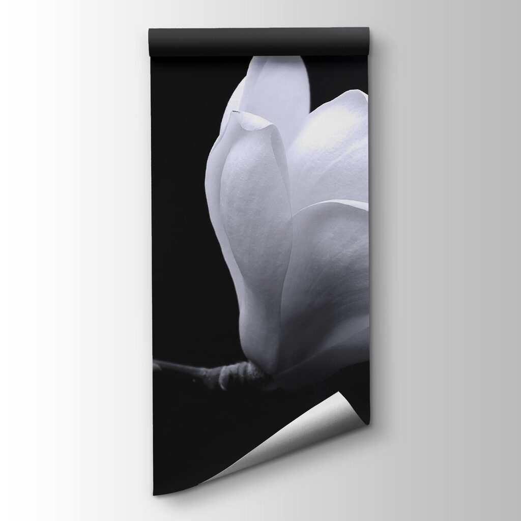 White flower on a branch