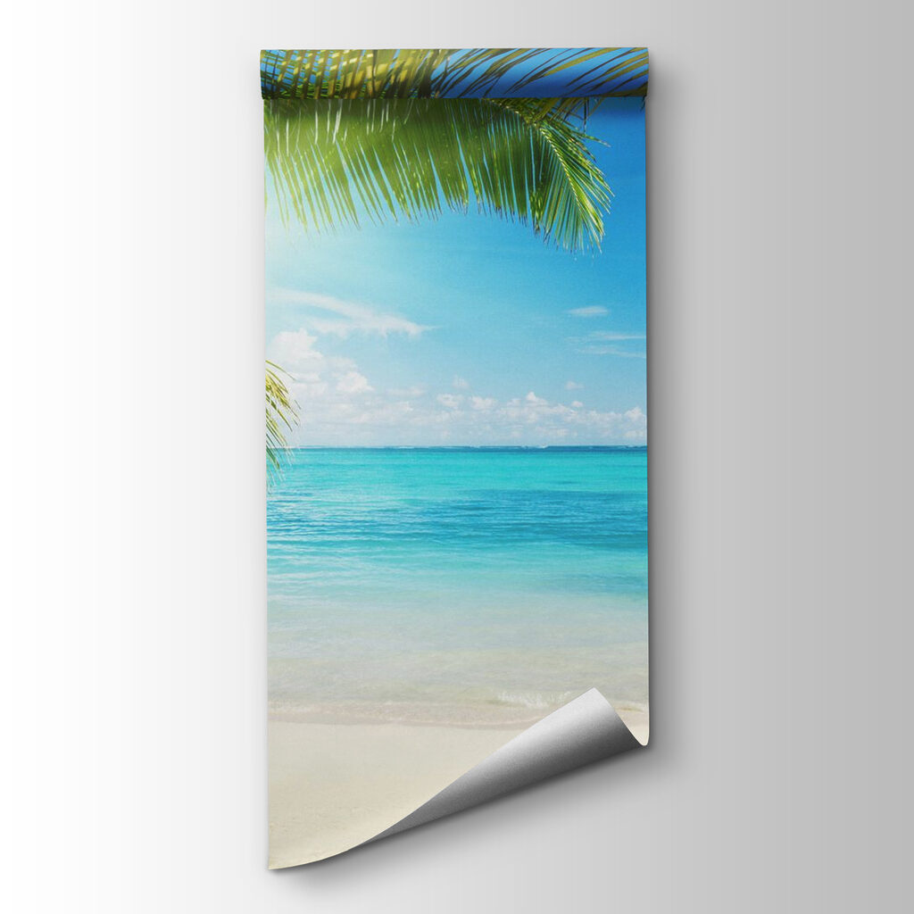 Palm trees on a beach