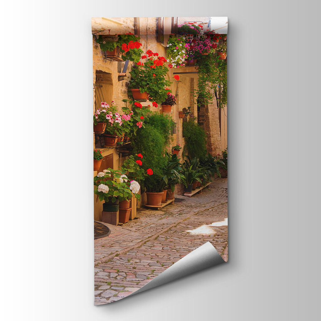 Street with flowers on the side
