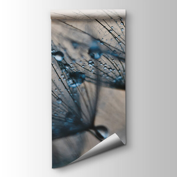 Delicate droplets on dandelion seeds