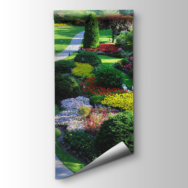 Garden with many flowers and trees