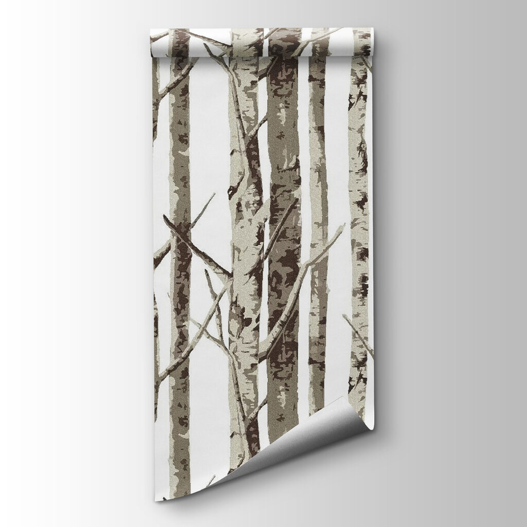 Group of trees with no leaves Group of trees with no leaves