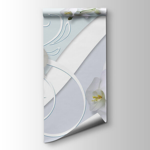 Beautiful orchids on a soft background