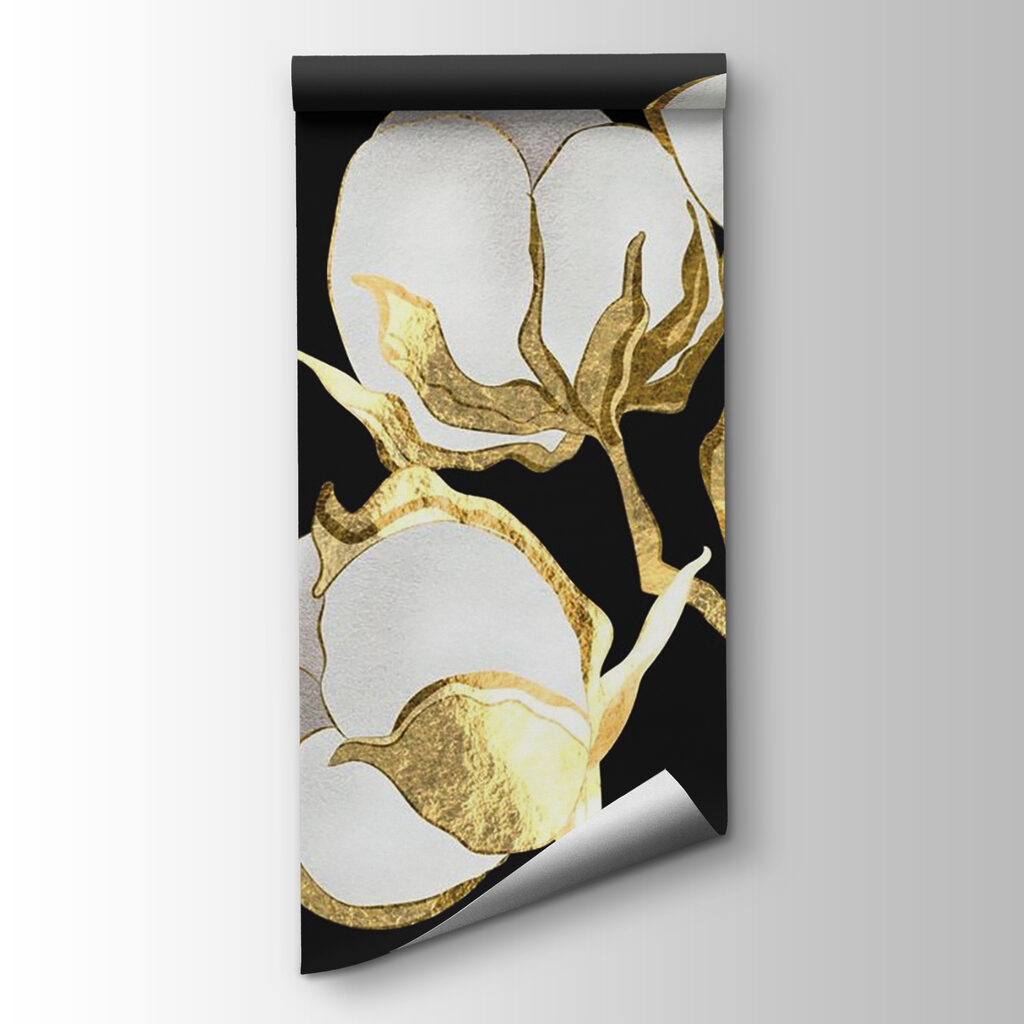 Cotton blooms on a dark backdrop