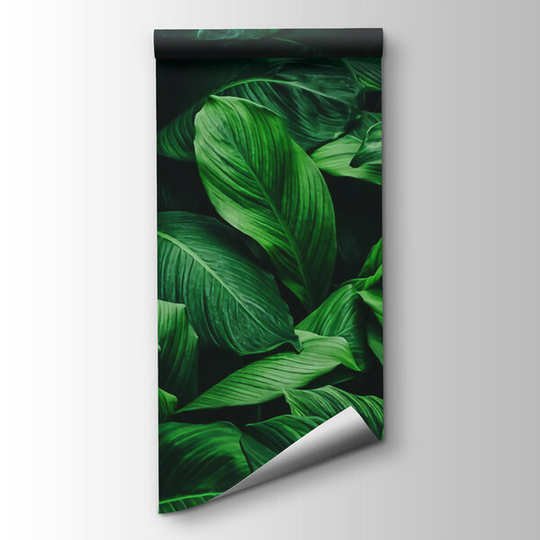 Group of large green leaves