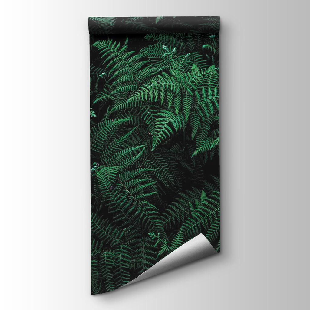 Lush ferns in deep green hues