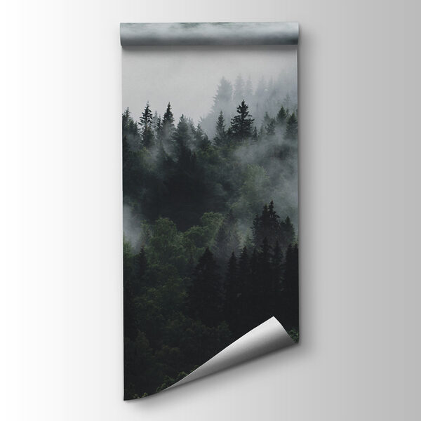 Foggy forest with trees