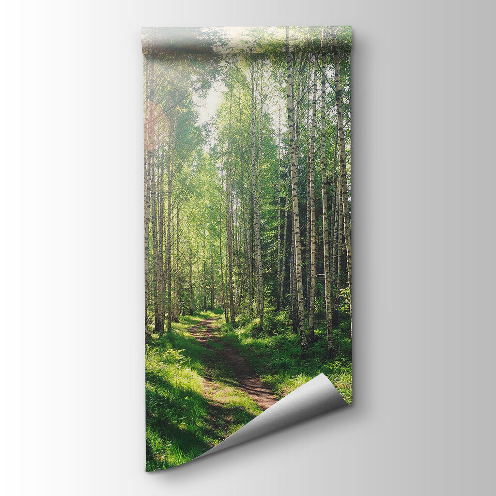 Path through a forest of trees