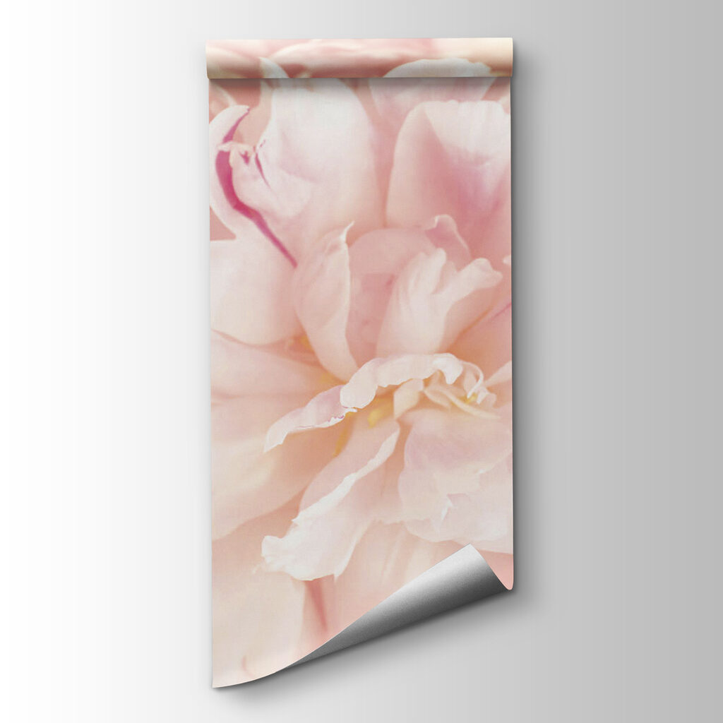 Soft petals in gentle hues