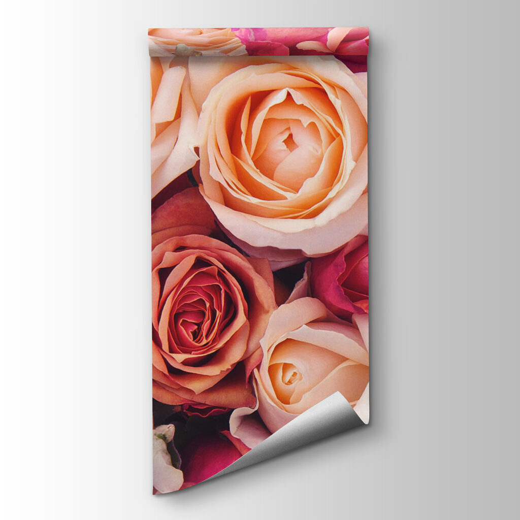 Group of pink and white roses