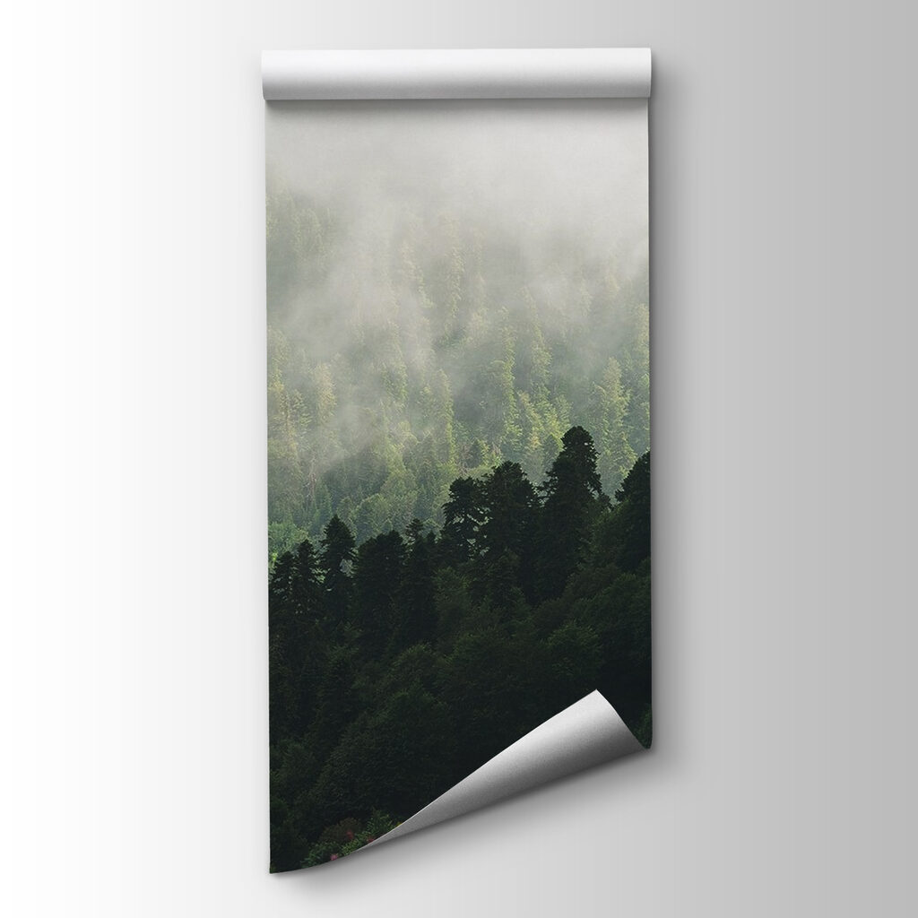 Foggy forest with trees