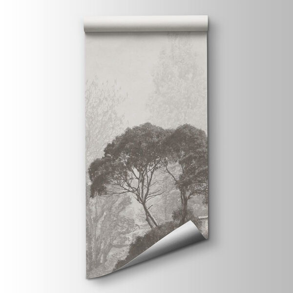 Group of trees in fog