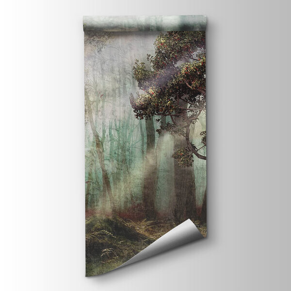 Foggy forest with trees and fog